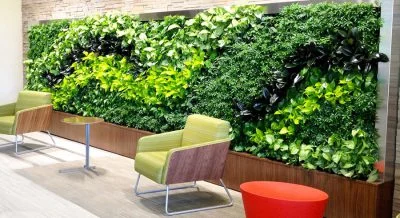 انعطاف پذیری محیط با دیوار سبز