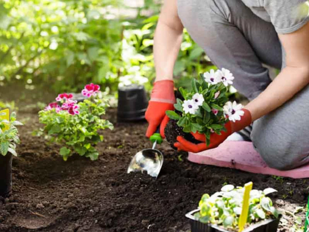 خدمات باغبانی بهار